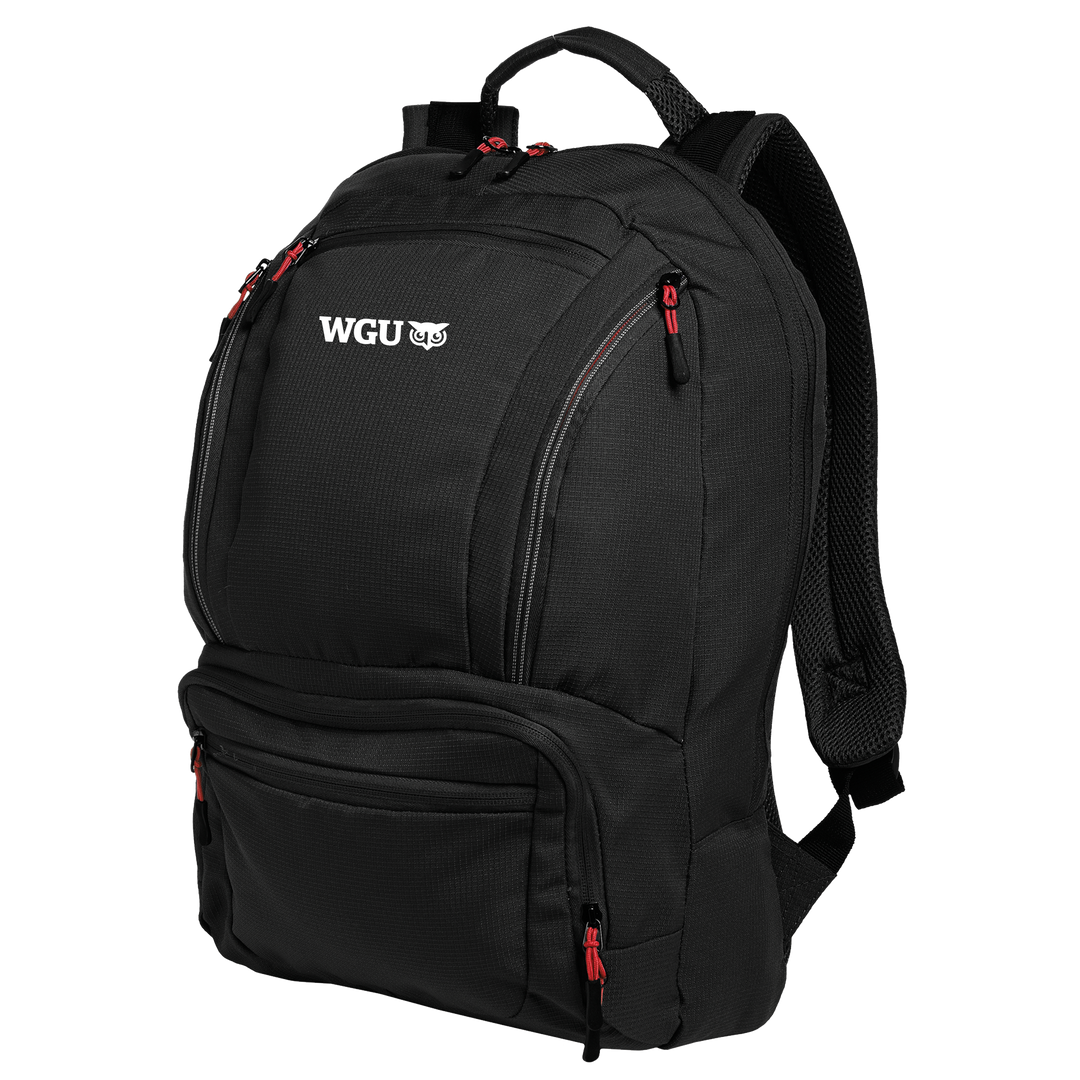 Port Authority® Cyber Backpack