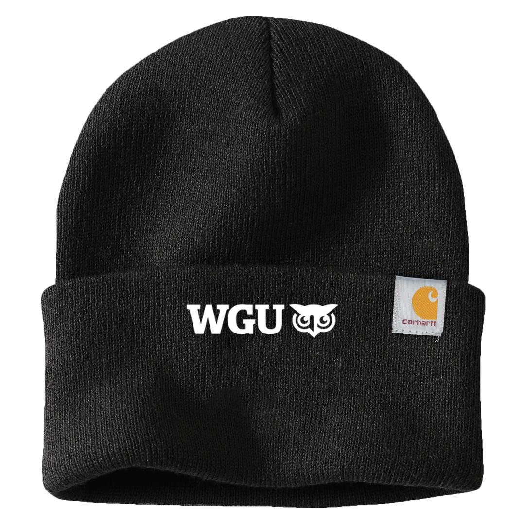 Carhartt 2024 skull beanie